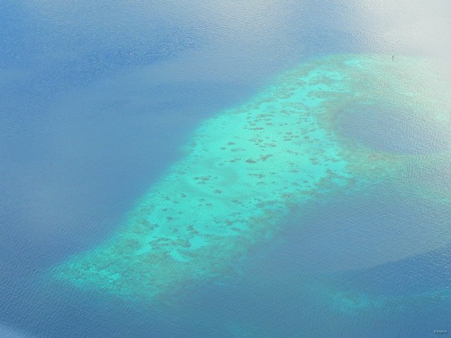 15- Un banc de sable et de corail dans le lagon 